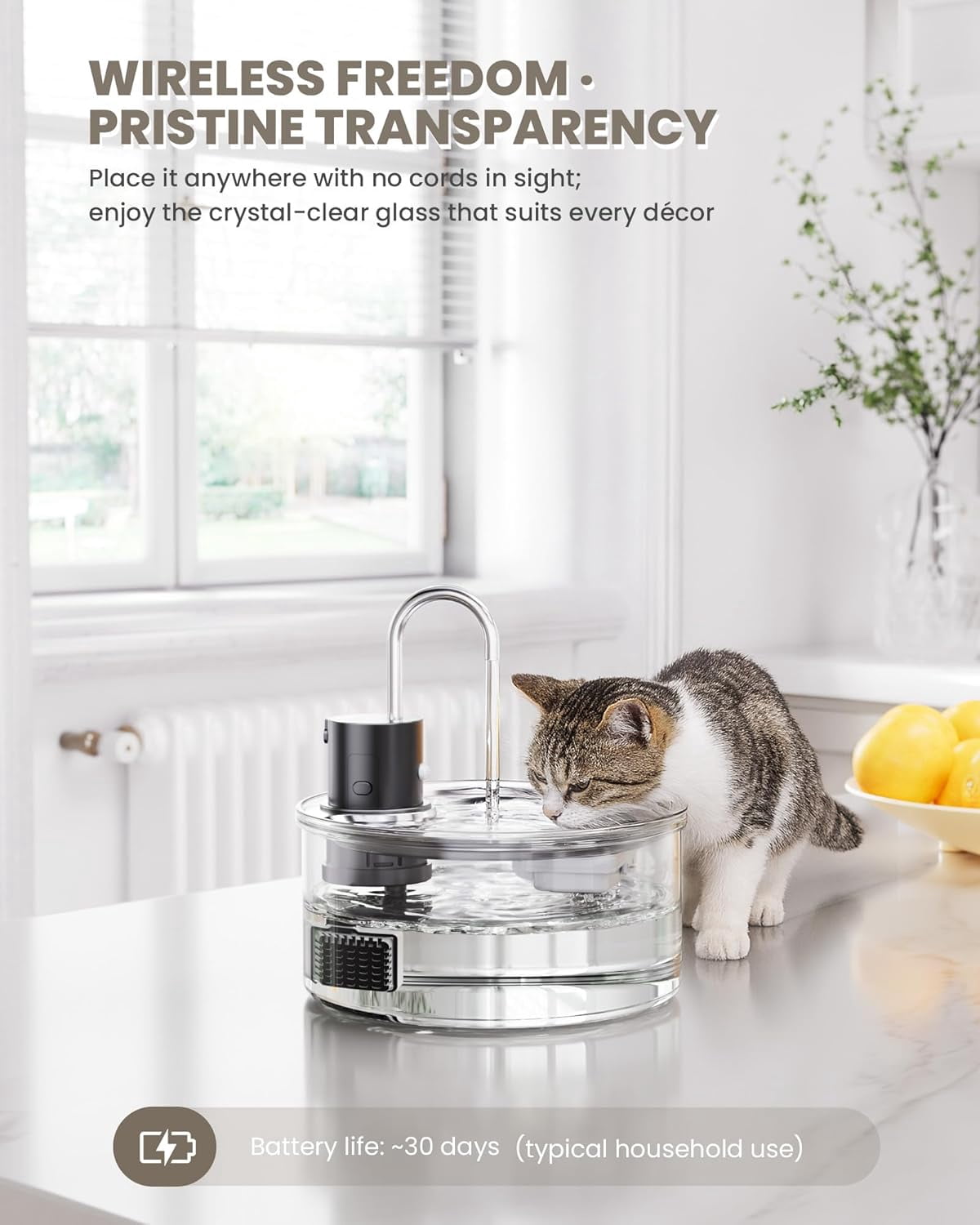 Cordless Rechargeable 108oz Glass Cat Water Fountain - Ultra-Quiet Automatic Pet Water Dispenser for Multiple Pets