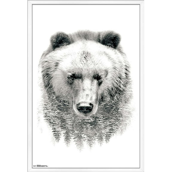 Bear - Trees Wall Poster, 22.375" x 34", Framed