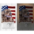 thumbnail image 2 of Caroline's Treasures LH9024CNL Flag with Newfoundland Ceramic Night Light, 6x4x3", multicolor, 2 of 2