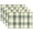 A210, variant on Ryvnso Placemats Set of 4 Tartan Checkered Dining Mats Heat-Resistant Non-Slip Washable Table Mat