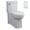 White, variant on American Standard Boulevard FloWise One-Piece 1.28 gpf Elongated Toilet with Concealed Trap-Way in White