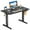 Black, variant on edx Electric Standing Desk, Height Adjustable Desk, 48 x 24 Inches Ergonomic Stand up Desk with Memory Preset and T-Shaped Metal Bracket for Home Office