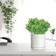 thumbnail image 5 of Hojas artificiales realistas de tarpin para exterior e interior, para jardín, hogar, decoración con hojas falsas verdes, 5 of 8