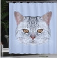 thumbnail image 4 of Ambesonne Cat Shower Curtain, Scottish Hipster Kitty Pet, 69"Wx75"L, Pale Blue Pale Grey, 4 of 5
