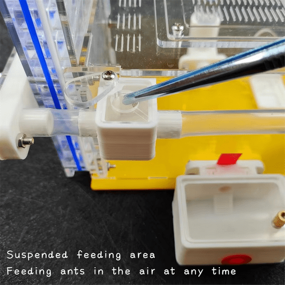 T Design DIY Ant Farm with Feeding Area Acryl Ant Nest Insect Ant House Villa Anthill Pet Workshop for House Ant Hotel,B,1 * Ant Farm,Yellow