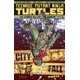 thumbnail image 1 of TEENAGE MUTANT NINJA TURTLES TOMO 6 Editorial Kamite 7500588010307, 1 of 2