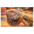 thumbnail image 4 of Iguana Ceramic Toothbrush Holder, South America Caribbean Indigenous Arboreal Animal with Blurred Background, Decorative Versatile Countertop for Bathroom, 4.5" X 2.7", Pale Orange and Grey, 4 of 4