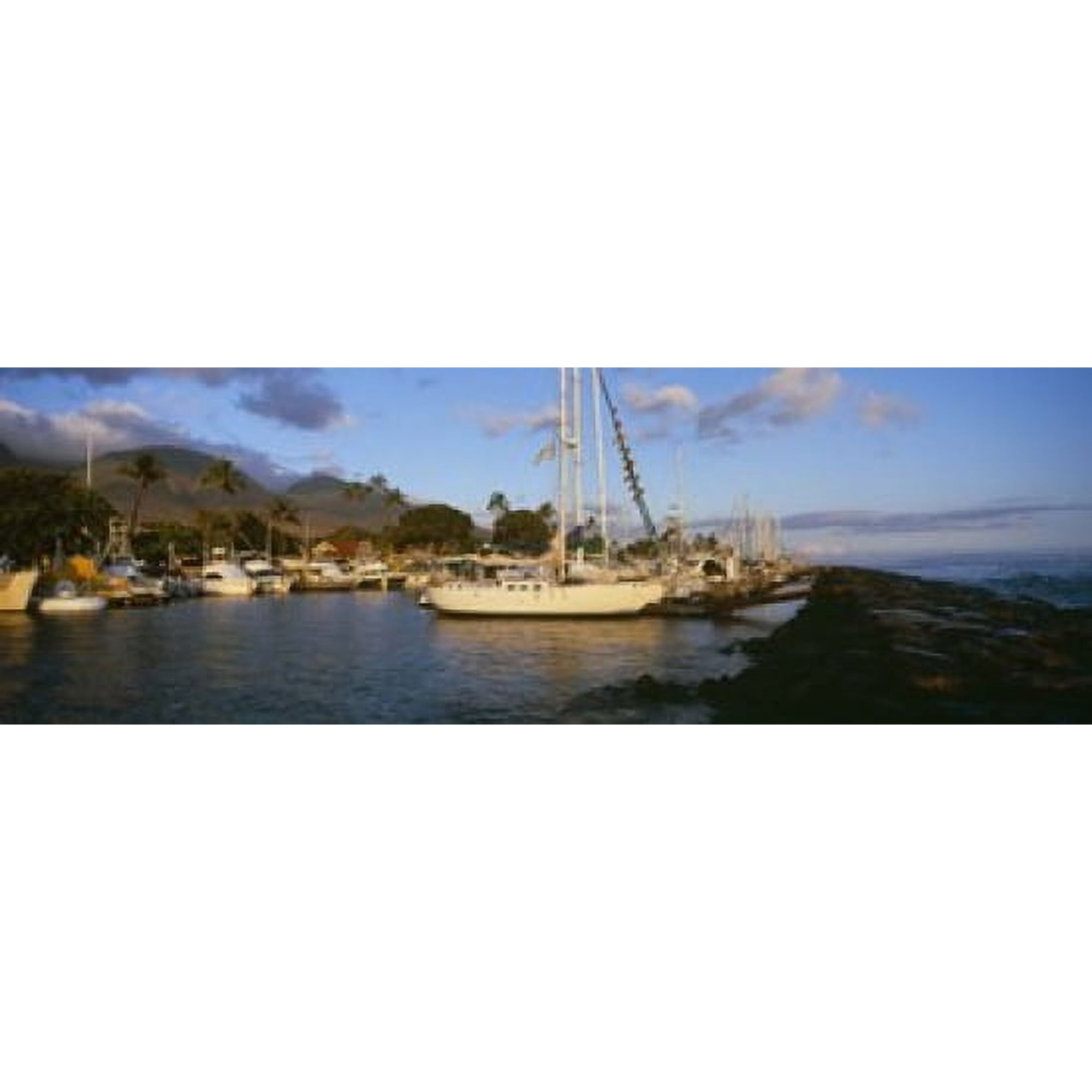 Sailboats in the bay Lahaina Harbor Lahaina Maui Hawaii USA Canvas Art - Panoramic Images (18 x 6)