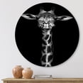 thumbnail image 2 of Designart 'Portrait Of A Giraffe In Monochrome' Farmhouse Circle Metal Wall Art 11x11 - Disc of 11, 2 of 5