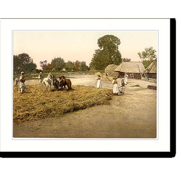 Historic Print, Threshing grain Bosnia Austro-Hungary, 16" x 20"