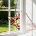 thumbnail image 3 of Colgante de Vidrio Templado con Gato Curioso REMIAWY, 3 of 7