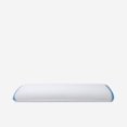 thumbnail image 1 of Sleep Country Polar Tropic™ Body Pillow, 1 of 5
