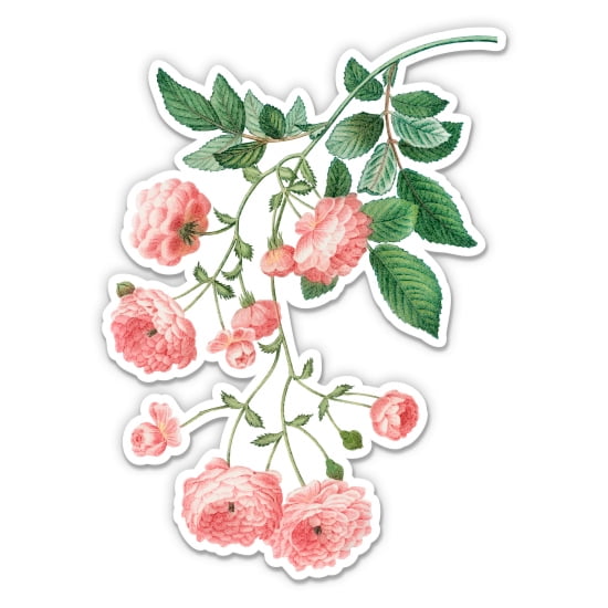 Pink Roses Branch Botanical Vintage Style - 3" Vinyl Sticker - For Car Laptop Water Bottle Phone - Waterproof Decal