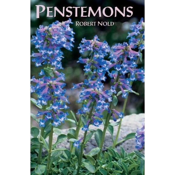 Penstemons, (Paperback)