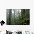 thumbnail image 1 of Rain Forest Wall Mural by Wallmonkeys Peel and Stick Graphic (36 in W x 24 in H) WM316207, 1 of 4