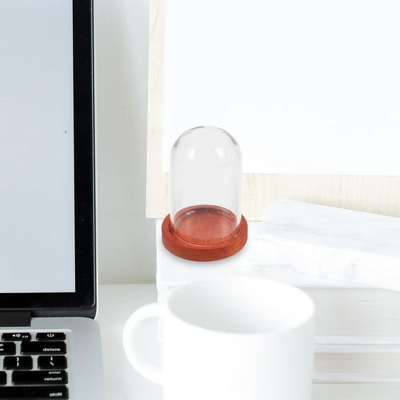 FESTFENDS 10 Sets Transparent Glass Dome With Tray For Jewelry Watches And Home Decor