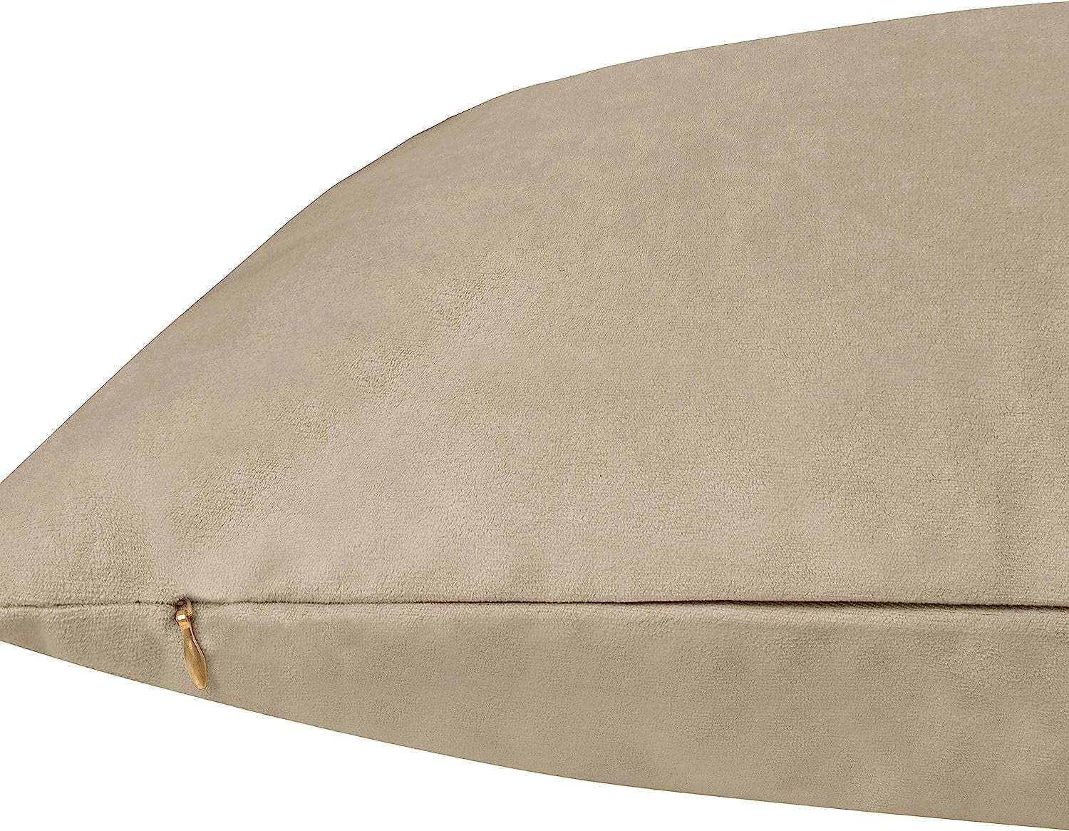 Delara Velvet Decorative Throw Pillow Cover, 20x20 inch, Pack of 1, Soft Breathable Cushion Cover with Hidden Zipper, Beige