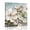 blue, variant on Canvas Wall Art Magnolia Farmhouse Canvas Art Print White Floral Vintage Pastoral Botanical Pictures Wall Decor for Living Room Bedroom Artwork Decorations Stretched Framed Ready to Hang 10"x10"