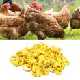 thumbnail image 1 of Anillos Para Patas De Pollo, Marcas Numéricas De Fácil Operación, 100 Piezas, Bandas Para Patas De Pollo Con Clip Para Granja, 1 of 7