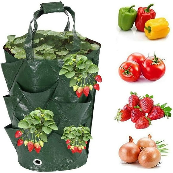 Hanging planters Vertical planter Strawberry planter pots Vertical gardening pots for growing strawberries