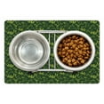 thumbnail image 1 of Botany Pet Mat for Food and Water, Cartoon Like Drawing Tropical Flora Frond Palmatia, Non-Slip Rubber Mat for Dogs and Cats, 18" X 12", by Ambesonne, 1 of 1