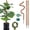 Brown-1, variant on Moss Pole 47.5 inch - Monstera Plant Support, 4 Packs 16 Inch Plant Stakes for Indoor Plants Coco Coir Moss Pole Sticks for Climbing Potted Live Plants, Pothos, Philodendron, with Garden Ties