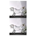 thumbnail image 3 of Bewildely Whisky Glass Tiger Shape Novelty Tequila for Kitchen Restaurant Type1 NO1, 3 of 4