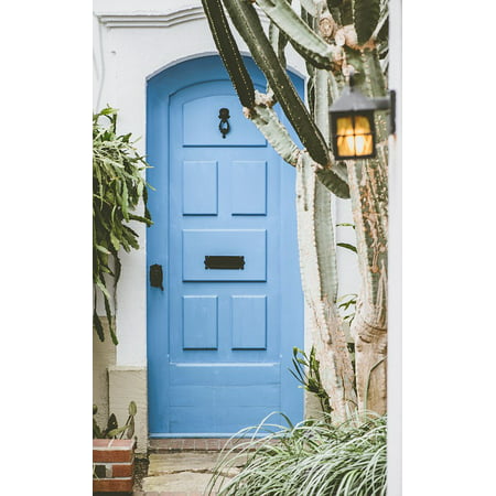Canvas Print Door Green Blue House Cactus Outside Plants Stretched Canvas 10 x