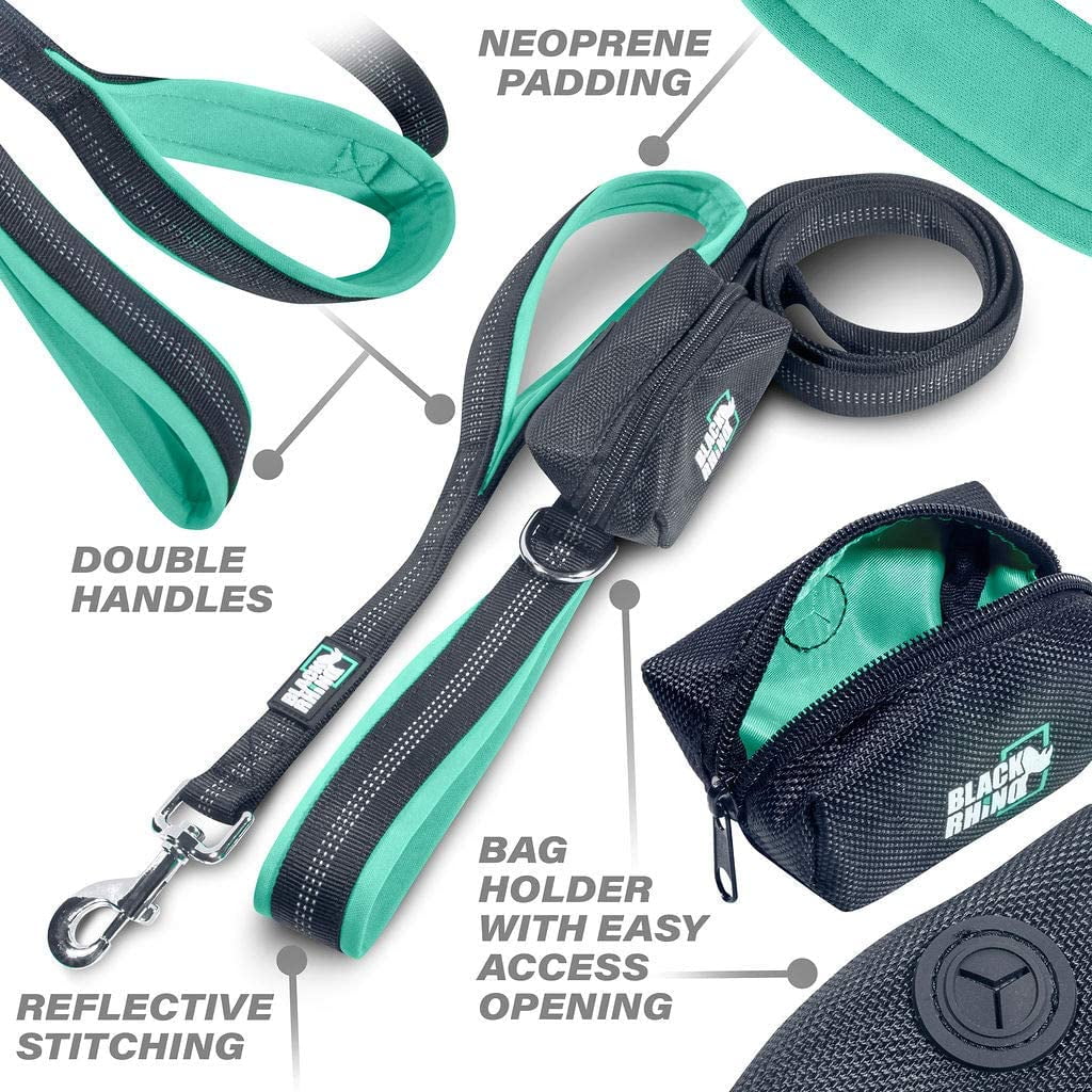 BLACK RHINO Heavy Duty Dog Leash Double Handle Reflective (6 Feet, Aqua)