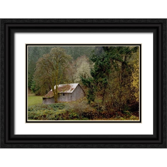 Murdock, Ramona 18x13 Black Ornate Wood Framed with Double Matting Museum Art Print Titled - Old Shed