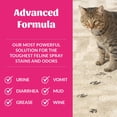 thumbnail image 3 of Quitamanchas y eliminador de olores SKOUT'S HONOR 1035 ml para desastres de gato, 3 of 9