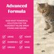 thumbnail image 3 of Quitamanchas y eliminador de olores SKOUT'S HONOR 1035 ml para desastres de gato, 3 of 9