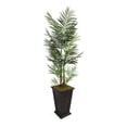 thumbnail image 1 of Vintage Home by Vintage Home 95-in Tall Areca Palm Tree in 16-in Fiberstone Planter 36L 36W 95H, 1 of 2