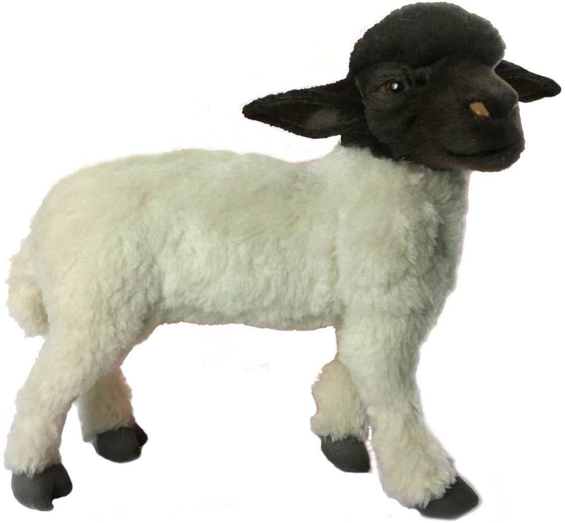hansa sheep