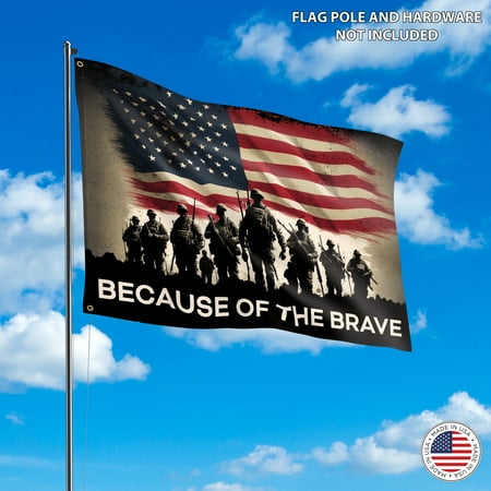 Because Of The Brave 3x5 flag by Ashton
