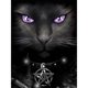 thumbnail image 1 of Punto Cruz Hilo Algodón 11CT Astrología Gato Bordado 40x53cm, 1 of 9
