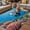 Black, variant on Funny Diving Tiger Outdoor Rug for Patio/Deck/Porch, Non-Slip Large Area Rug 3 x 5 Ft, Ocean Sea Coastal Coral Fish Marine Life Indoor Outdoor Rugs Washable Area Rugs, Camping Rug Carpet Runner