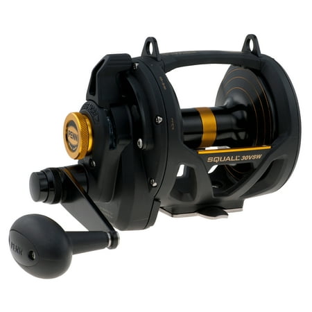 PENN Squall Lever Drag 2 Speed Conventional Fishing (Best Lever Drag Fishing Reels)
