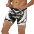 thumbnail image 3 of Disketp Whimsical Owl On Branch Men's Boxer Briefs Men’s Underwear Boxer Briefs for Men, 3 of 7
