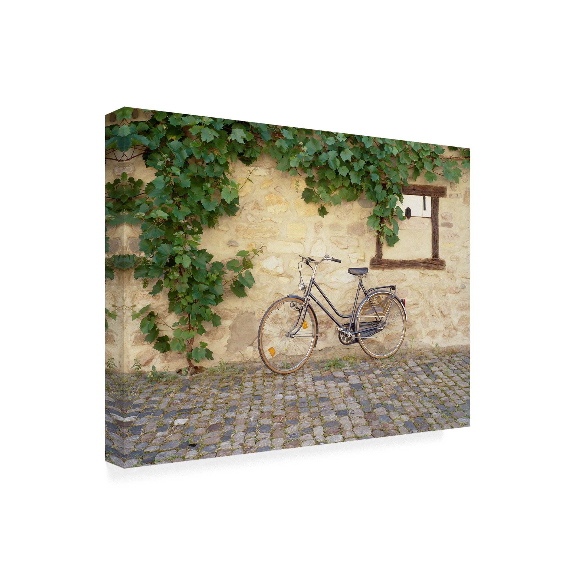 Trademark Fine Art 'Bicycle Turckheim France Color' Canvas Art by Monte Nagler