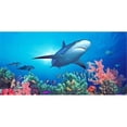 thumbnail image 1 of Biggies WM-SRF-120 Papiers Peints Shark Reef, 1 of 1