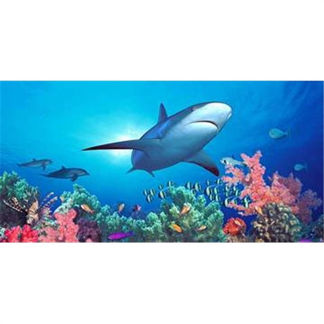 Biggies WM-SRF-120 Papiers Peints Shark Reef