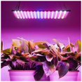 thumbnail image 2 of Lámpara LED hortícola Aleko de 40 W, luz de crecimiento de floración, panel LED de cultivo interior para el crecimiento de plantas(blanco） ACTIVE Biensenido a ACTIVE, 2 of 5