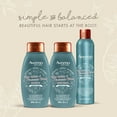 thumbnail image 5 of Aveeno Rose Water & Chamomile Blend Sulfate-Free Shampoo with Colloidal Oat for Dry & Sensitive Scalp, Gentle Cleansing Shampoo for Fine, Fragile Hair, Paraben & Dye-Free, 18 fl oz, 5 of 6