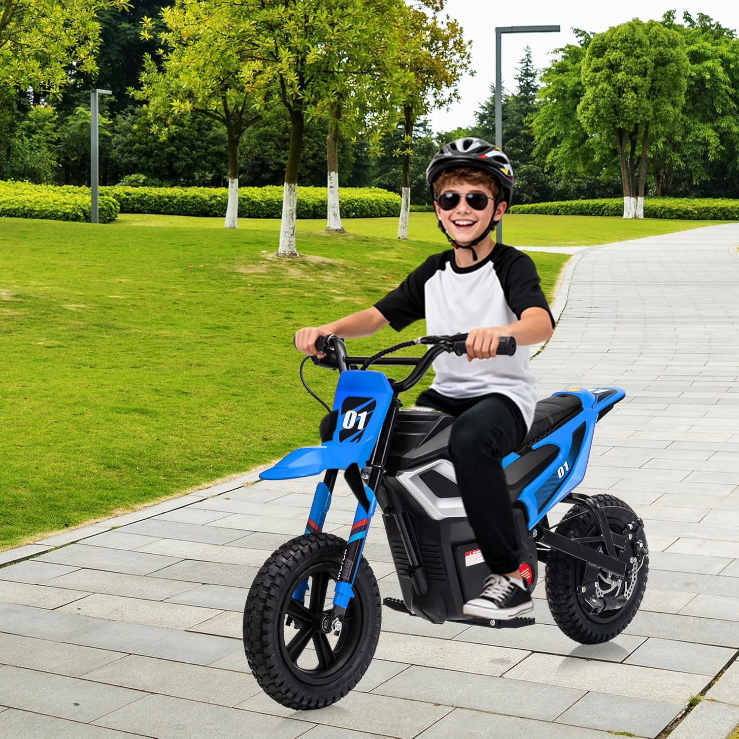 Rugerasy 24V Electric Dirt Bike,Ride on Motorcycle with Rear Wheel Suspension,12 Miles Range,Twist Grip Throttle,Rubber Tire,Birthday & Xmas Gifts,Blue