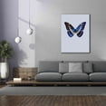 thumbnail image 4 of Epic Graffiti 'Blue Butterfly' by Incado, Giclee Canvas Wall Art, 40"x54", 4 of 8