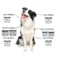 thumbnail image 3 of Professional Detachable Steel Hair Clipper Blade for Dog Grooming - A5-Blade, Compatible with Most Pet Clippers, 3 of 9