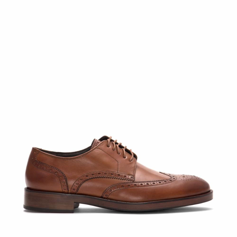 cole haan harrison grand shortwing