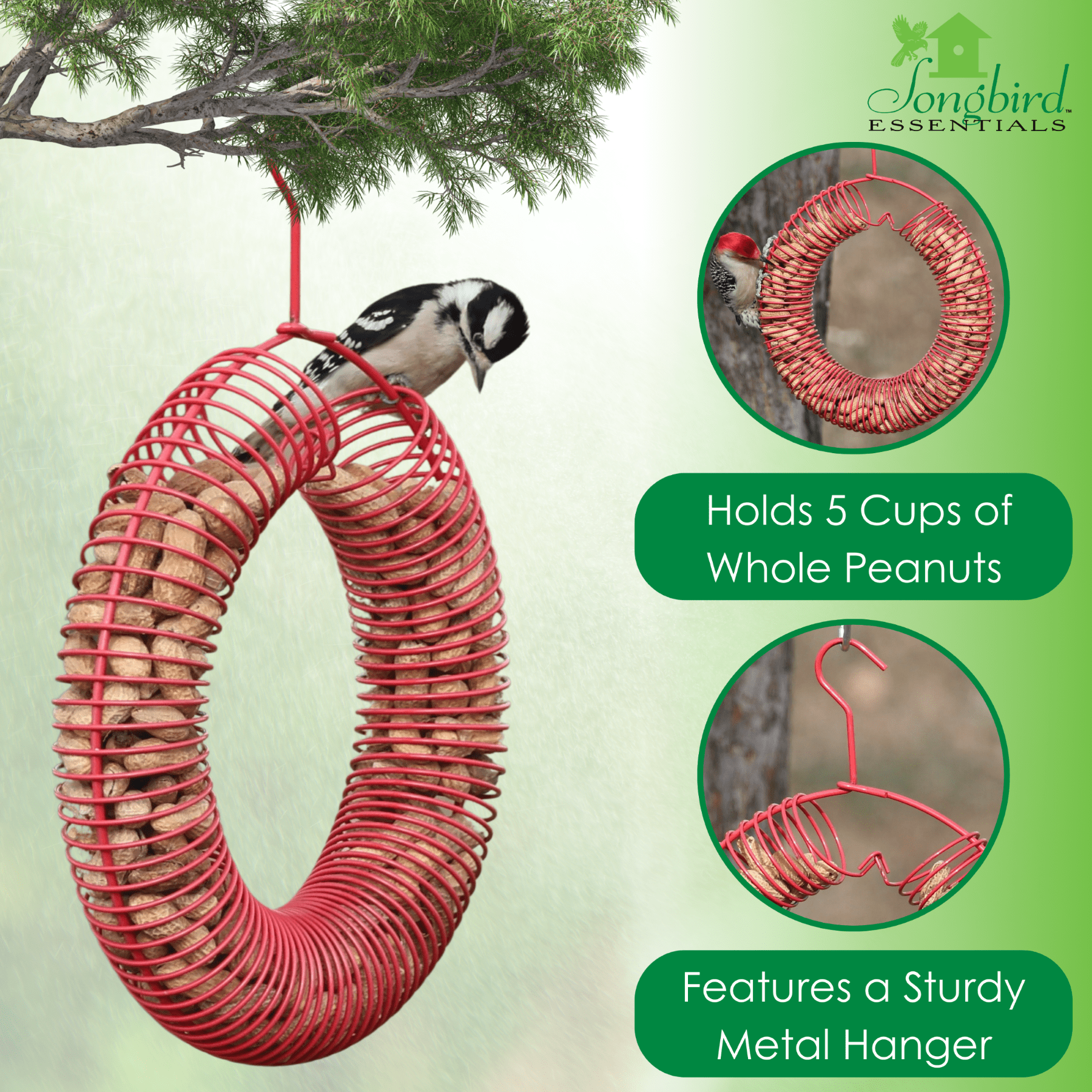 Songbird Essentials Bird Feeder Squirrel Feeder Whole Peanuts Wreath Red