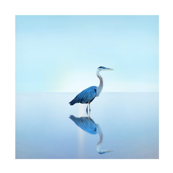 James McLoughlin 'Beachscape Heron II' Canvas Art